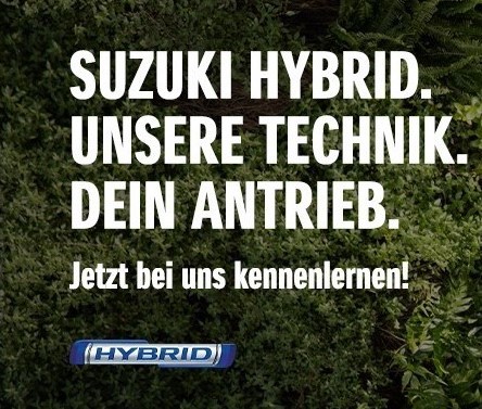 Hybrid – Was ist das Eigentlich?